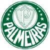 Strój Palmeiras dla dzieci